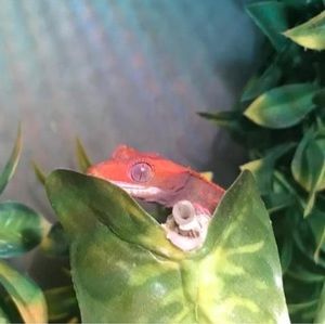 Meet your Posher, Jake